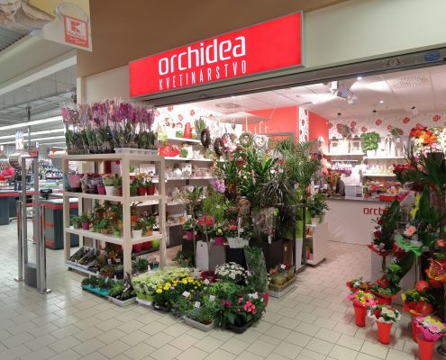 Orchidea kvetinárstvo Čadca
